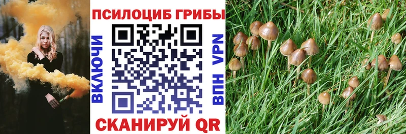 Галлюциногенные грибы MAGIC MUSHROOMS Соль-Илецк