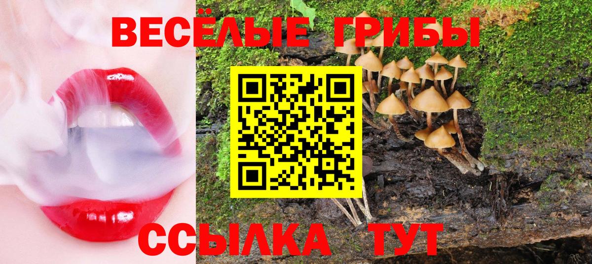 Псилоцибиновые грибы прущие грибы  Вход с VPN  как найти   Галлюциногенные грибы MAGIC MUSHROOMS  Соль-Илецк 